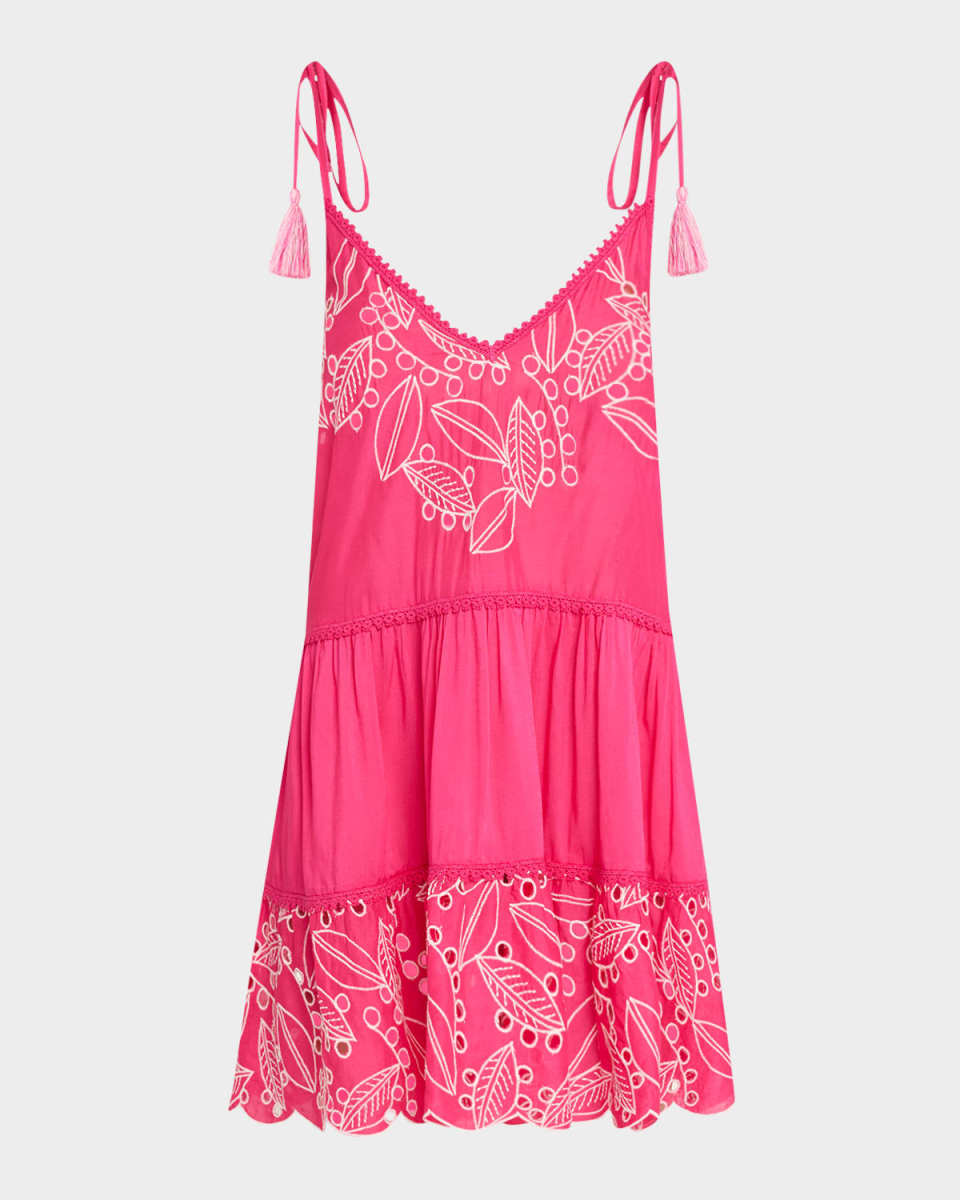 Makenzy Embroidered Mini Dress